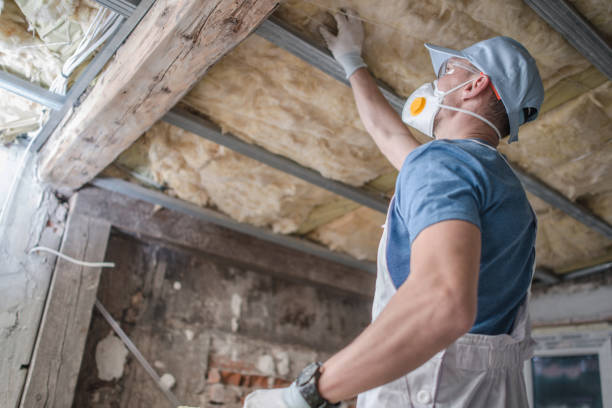 Best Attic Insulation Installation  in North Wilkesboro, NC
