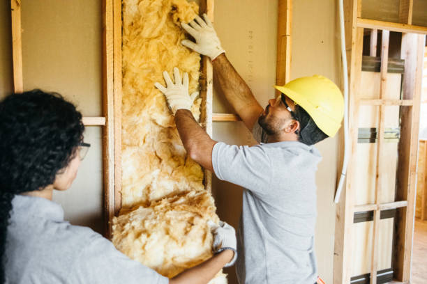 Best Insulation Removal  in North Wilkesboro, NC