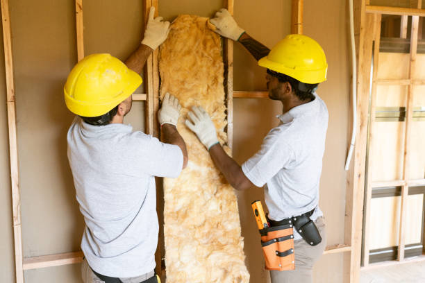 Best Insulation Inspection Services  in North Wilkesboro, NC