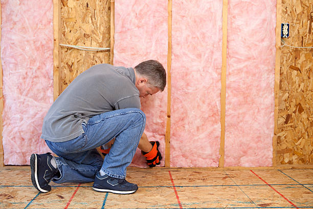 Best Local Insulation Services  in North Wilkesboro, NC