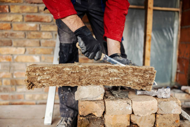 Best Insulation Removal Services  in North Wilkesboro, NC