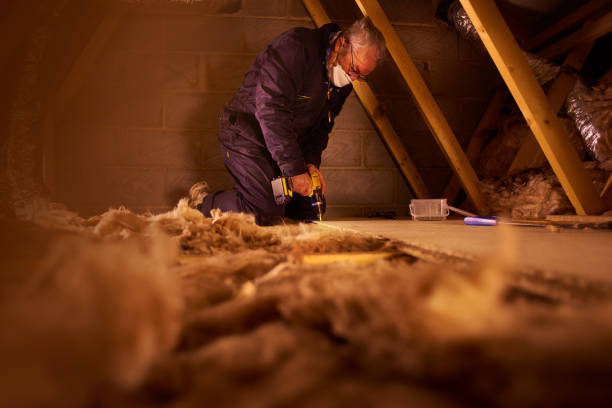 Best Insulation Repair Services  in North Wilkesboro, NC