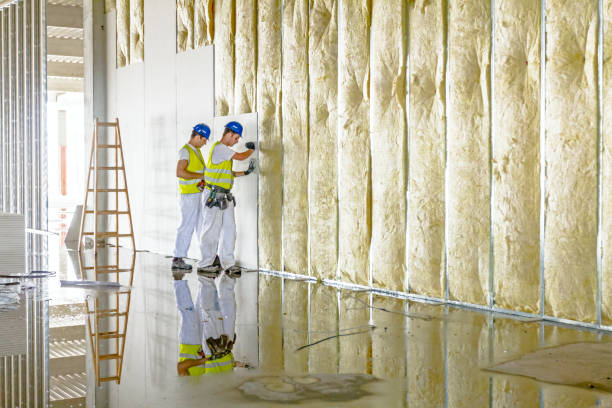 Best Energy-efficient Insulation  in North Wilkesboro, NC